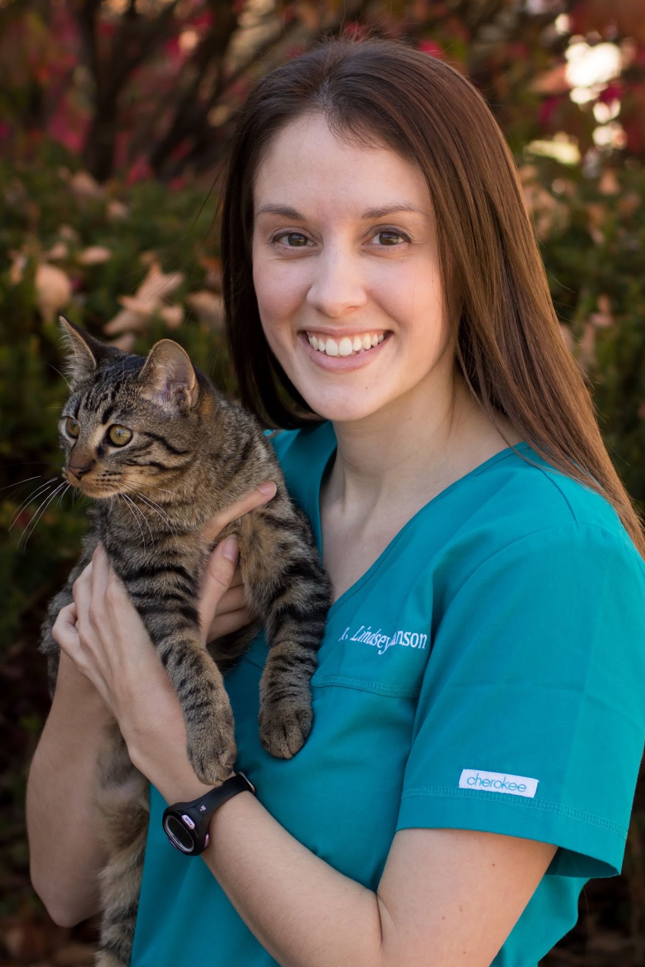 Dr. Lindsey Hanson, owner and veterinarian at South Ridge Animal Clinic