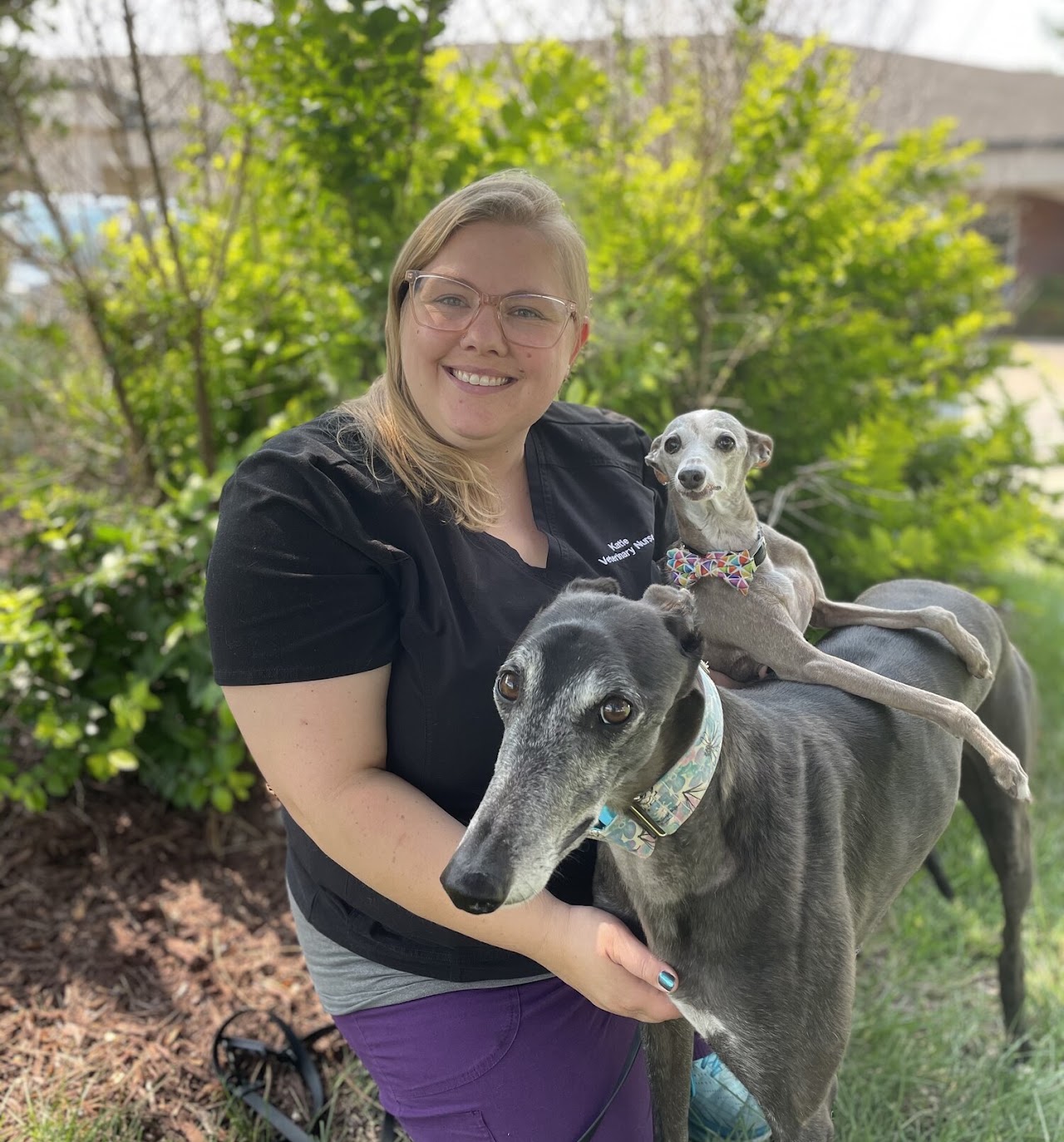 Katie, Practice Manager, LVT at South Ridge Animal Clinic