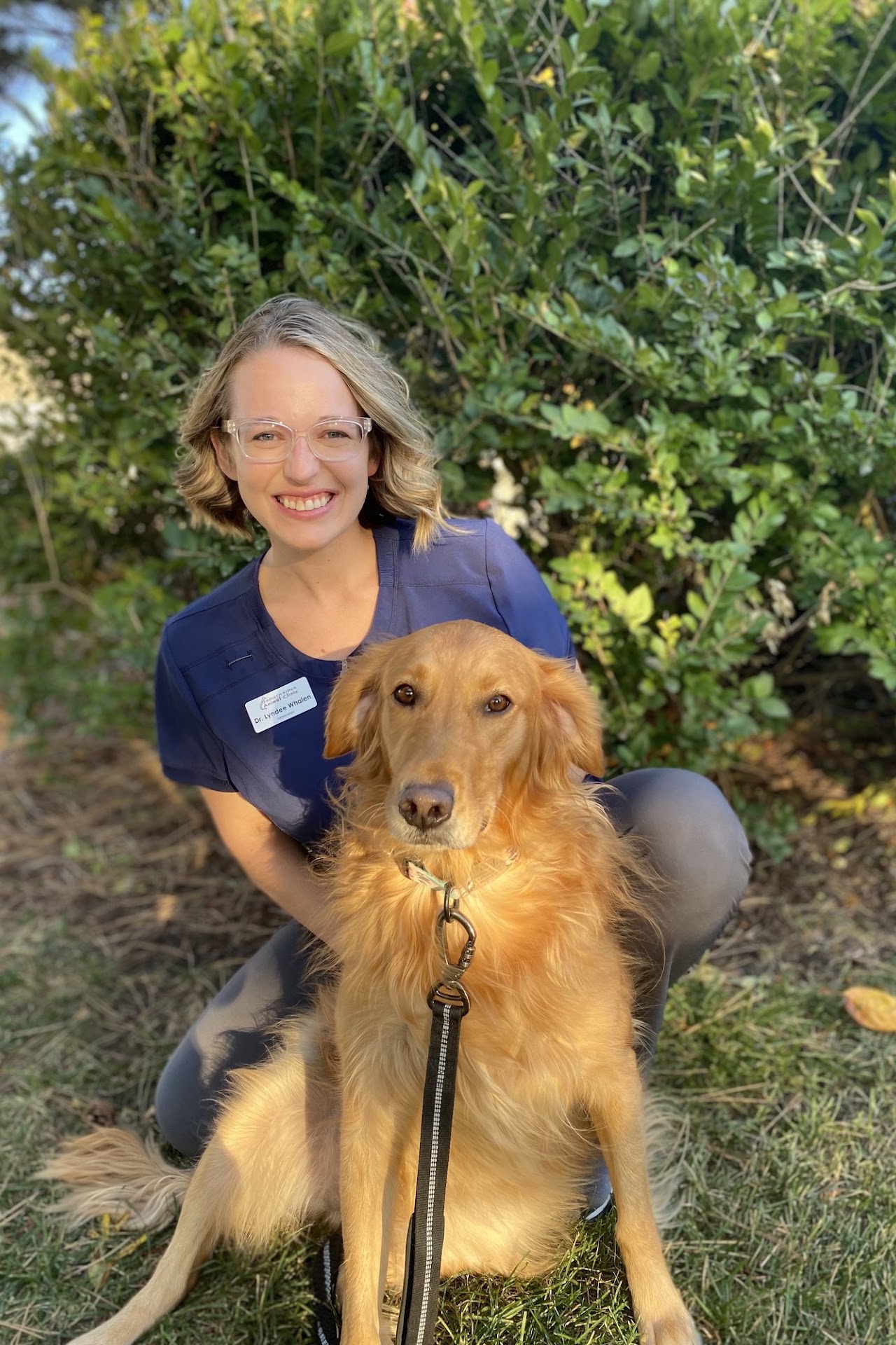 Dr. Lyndee Whalen, Veterinarian at South Ridge Animal Clinic